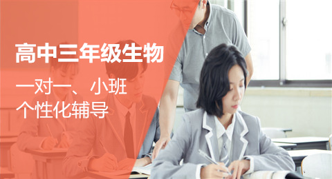 ���ݸ������︨����